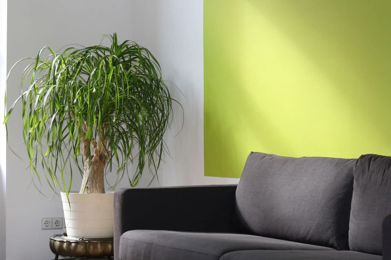 Heat Pump Replacement in Mar Vista: Pricing the New Unit
